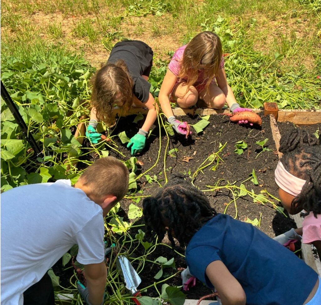 Midlands STEM 4-H Club