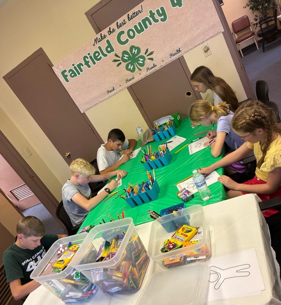 New 4-H Membership Year