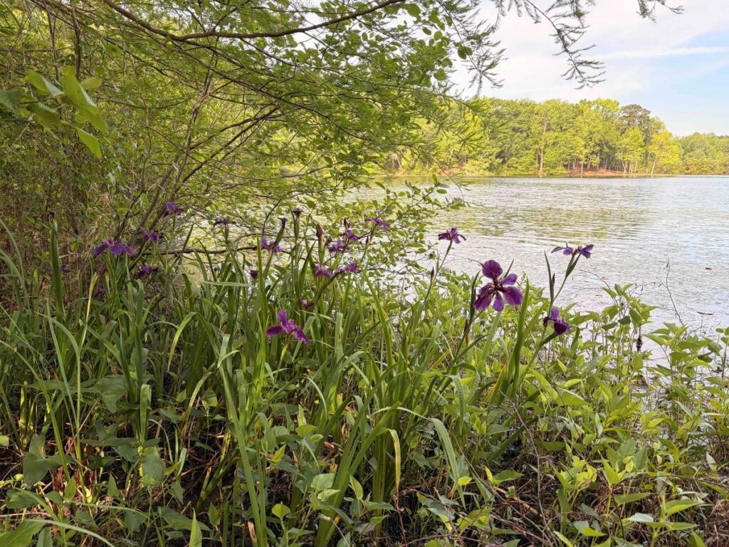 Recreational Pond Management Workshop