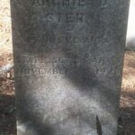 Archie Stern's military tombstone in Woodland Cemetery at Clemson University. Photo from Find a Grave.